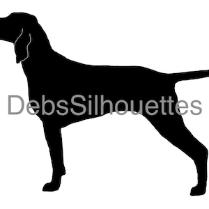 Ungarische Vizsla Silhouette SVG PNG JPG pdf