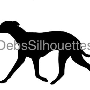 Whippet en mouvement Silhouette SVG PNG JPG pdf