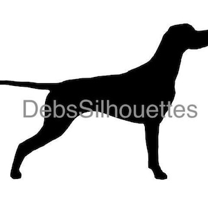 English Pointer Silhouette SVG PNG JPG pdf