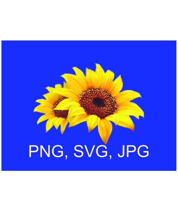 Download Sunflower Transparent Background Sunflower Svg Sunflower Png Etsy