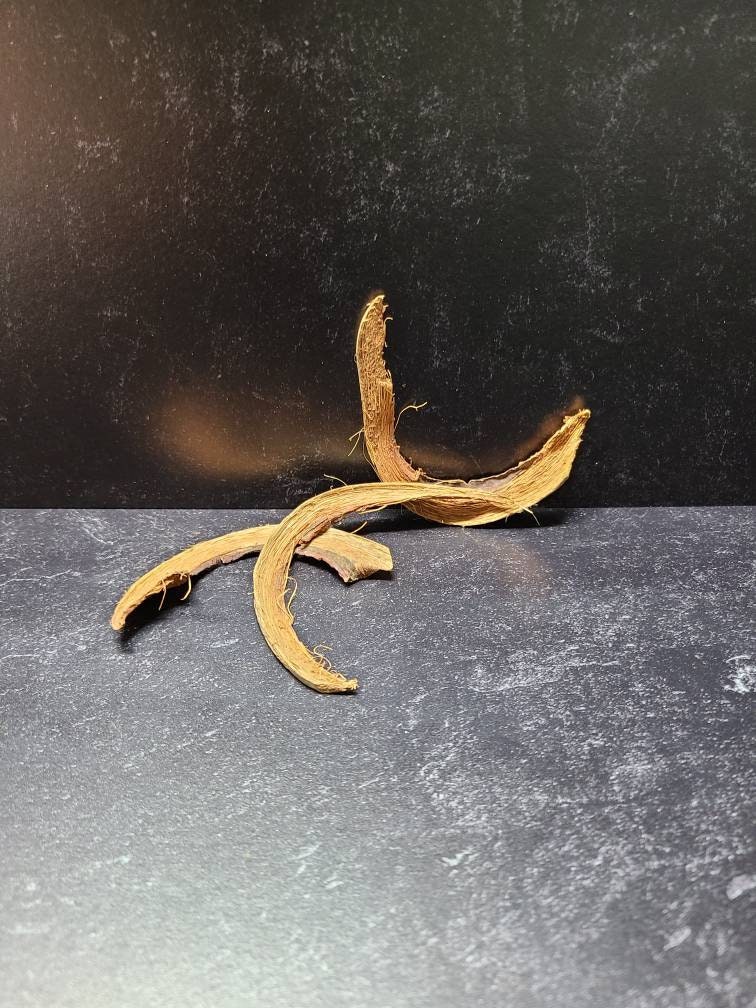 Coconut Petals Decorative Potpourri Seed Pod Coconut Petals Decorative Potpourri Seed Pod