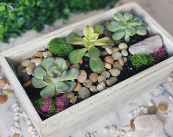 May include: A white wooden planter box filled with succulents, moss, and small stones. The planter is sitting on a white marble surface.