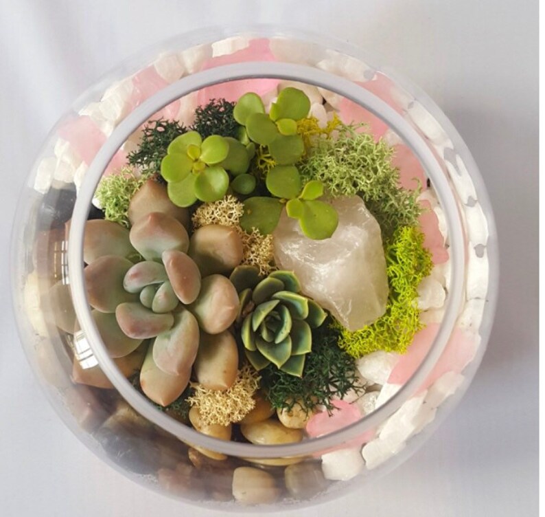DIY Rose Quartz Kit Terrarium Kit DIY Succulent Garden Zen Etsy