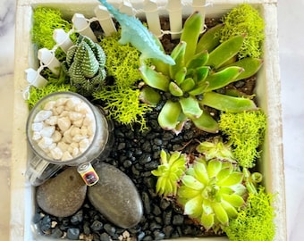 DIY succulent terrarium, beer garden, for beer lover, Terrarium Kit, Terrarium Kit,college gift, terrarium garden for him,mothers day