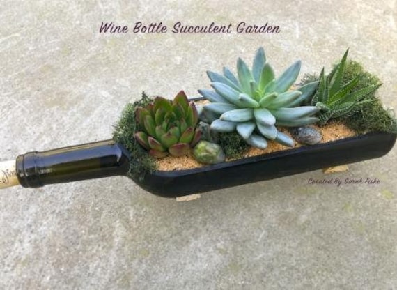 DIY Wine Bottle Succulent Planter Kit: Terrarium Garden Family Activity