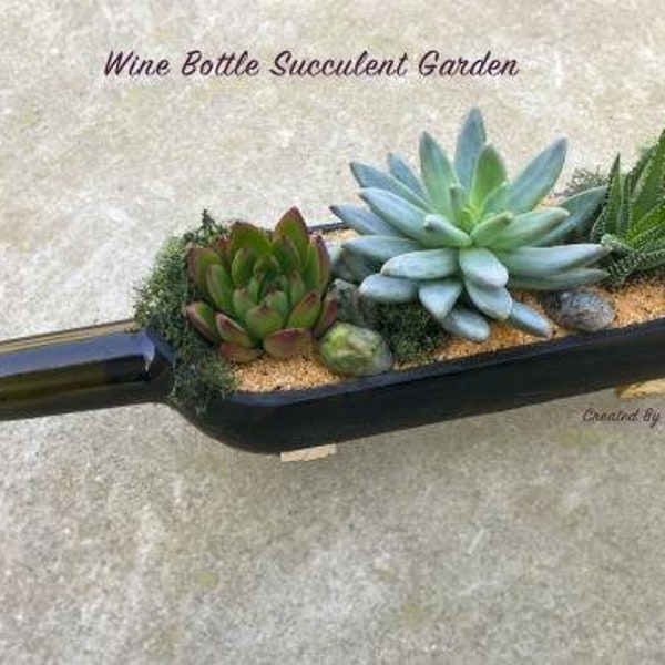 DIY Wine Bottle Planter Kit,Terrarium Kit, terrarium garden,DIY Succulent Kit, DIY Family Activity,birthday gift, team building, mothers day