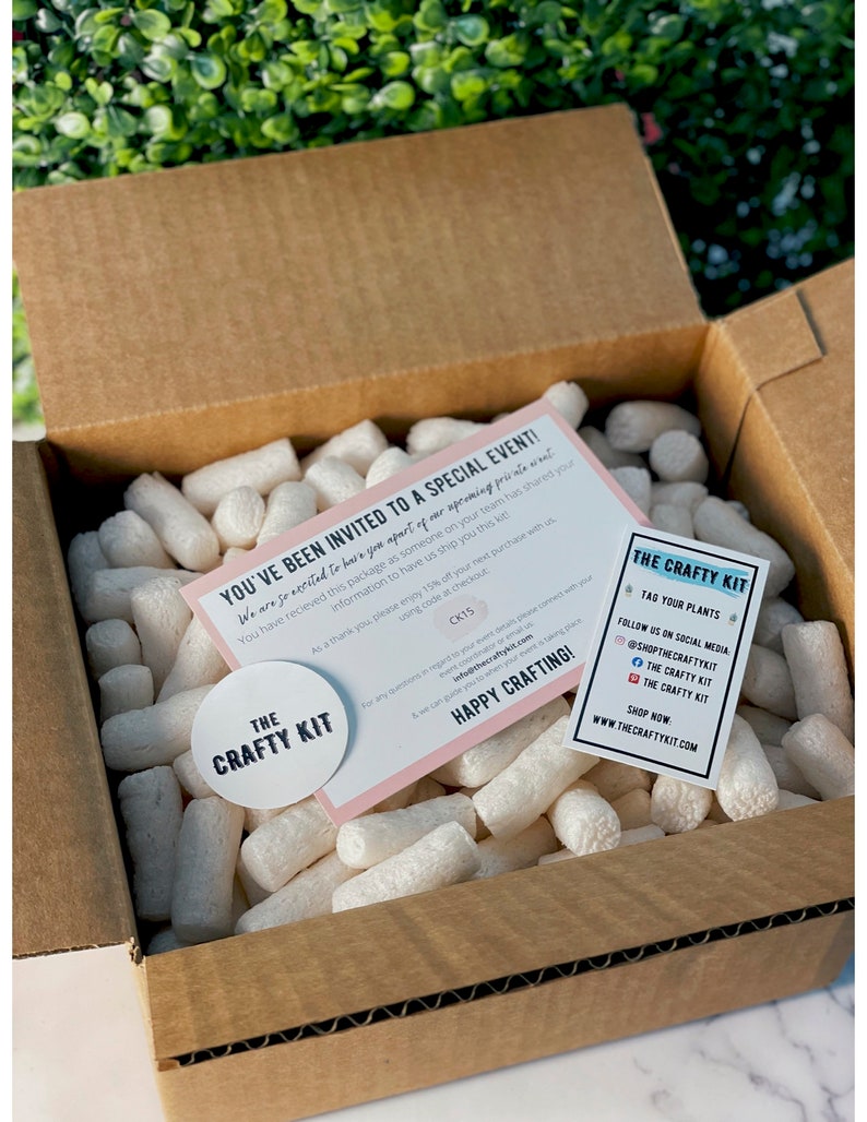 DIY Succulent Terrarium Kit: Glass Bowl Zen Garden with Live Plants, diy craft, birthday gift, corporate team building, Back to School image 3
