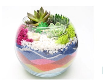 DIY Sand Art Planter Kit, sand art kit, terrarium kit, sand art, terrarium succulents, diy, succulent diy kit, diy gift, mothers day