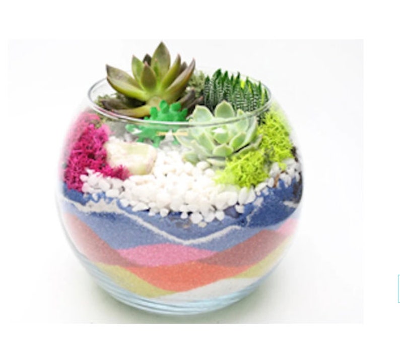 DIY Sand Art Planter Kit Sand Art Kit Terrarium Kit Sand Etsy