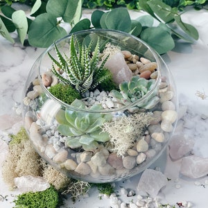 Pode incluir: Um terr&aacute;rio de vidro cheio de pequenas plantas, pedras e musgo. O terr&aacute;rio &eacute; decorado com cristais de quartzo rosa.