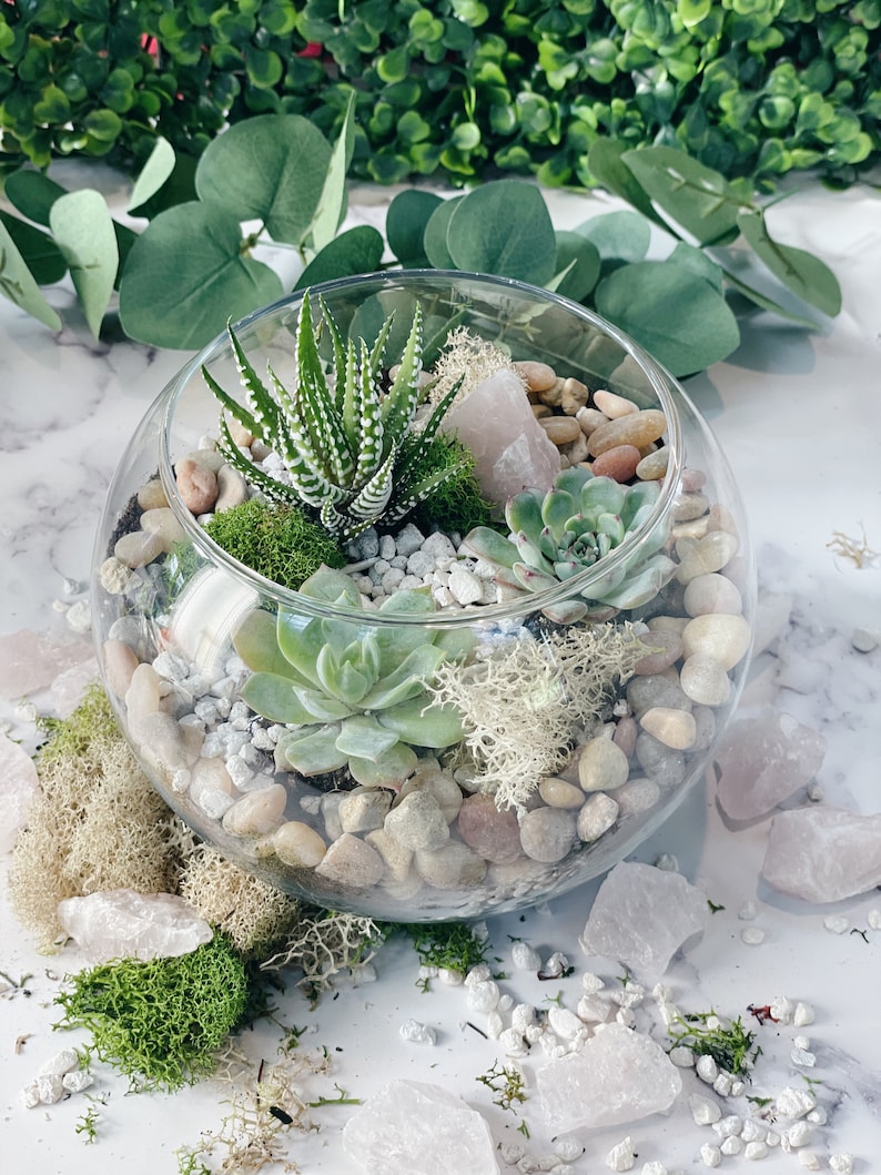 Pode incluir: Um terr&aacute;rio de vidro cheio de pequenas plantas, pedras e musgo. O terr&aacute;rio &eacute; decorado com cristais de quartzo rosa.