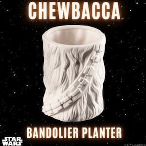 DIY Chewbacca Ceramic Planter: Star Wars Craft Kit