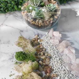 Pode incluir: Um terr&aacute;rio de vidro cheio de suculentas verdes, musgo e pequenas pedras. O terr&aacute;rio &eacute; cercado por uma variedade de materiais para criar um terr&aacute;rio, incluindo musgo, pequenas pedras e cristais de quartzo rosa.
