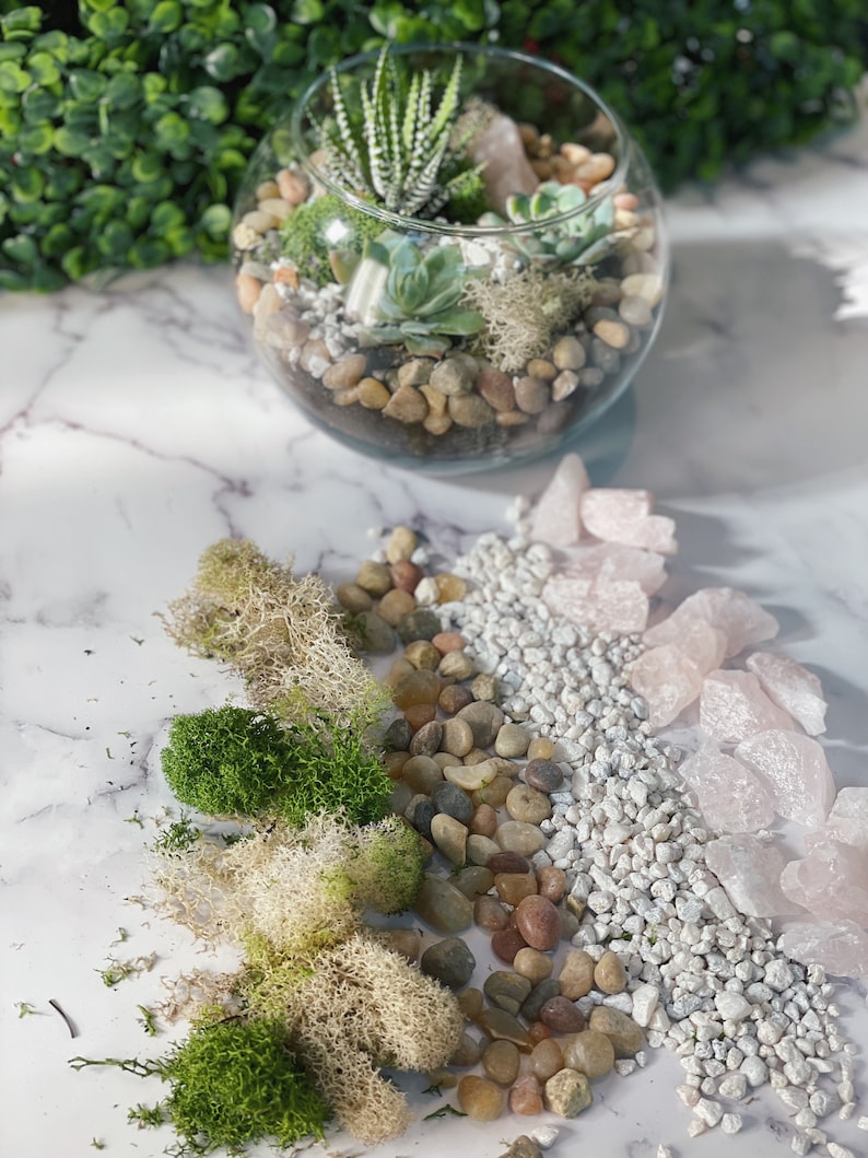 Pode incluir: Um terr&aacute;rio de vidro cheio de suculentas verdes, musgo e pequenas pedras. O terr&aacute;rio &eacute; cercado por uma variedade de materiais para criar um terr&aacute;rio, incluindo musgo, pequenas pedras e cristais de quartzo rosa.