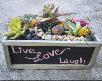 DIY Chalkboard Planter Garden,terrarium kit, terrarium, diy, succulent diy kit, diy gift,gift for her,birthday gift, mothers day