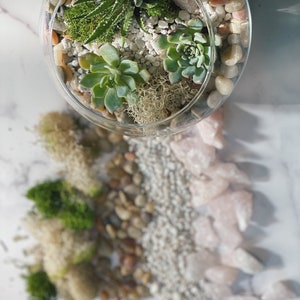 Pode incluir: Um terr&aacute;rio de vidro com uma variedade de suculentas, musgo e pequenas pedras. O terr&aacute;rio est&aacute; sobre uma superf&iacute;cie de m&aacute;rmore branco.