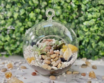 DIY Hanging Planter Kit, terrarium kit, citrine, terrarium, fall crafting, diy, succulent diy kit,diy gift for her,team building,mothers day