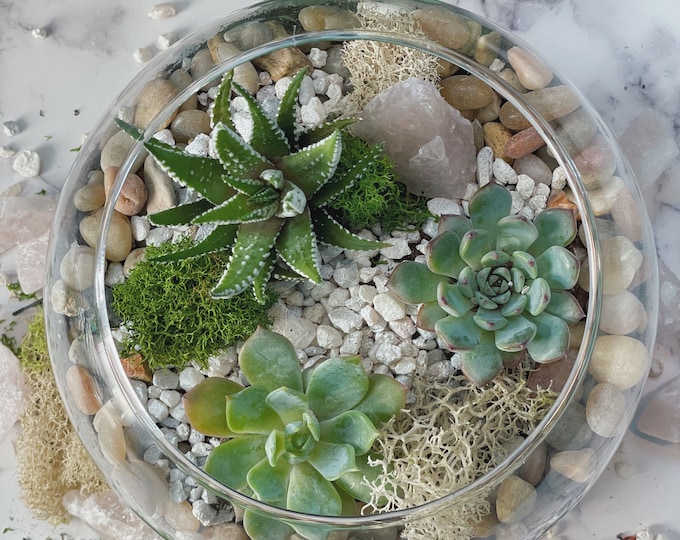 DIY Rose Quartz Kit, Terrarium Kit, DIY Succulent Garden, Zen Garden, gift for her, corporate team building, adult activity, Mother's Day