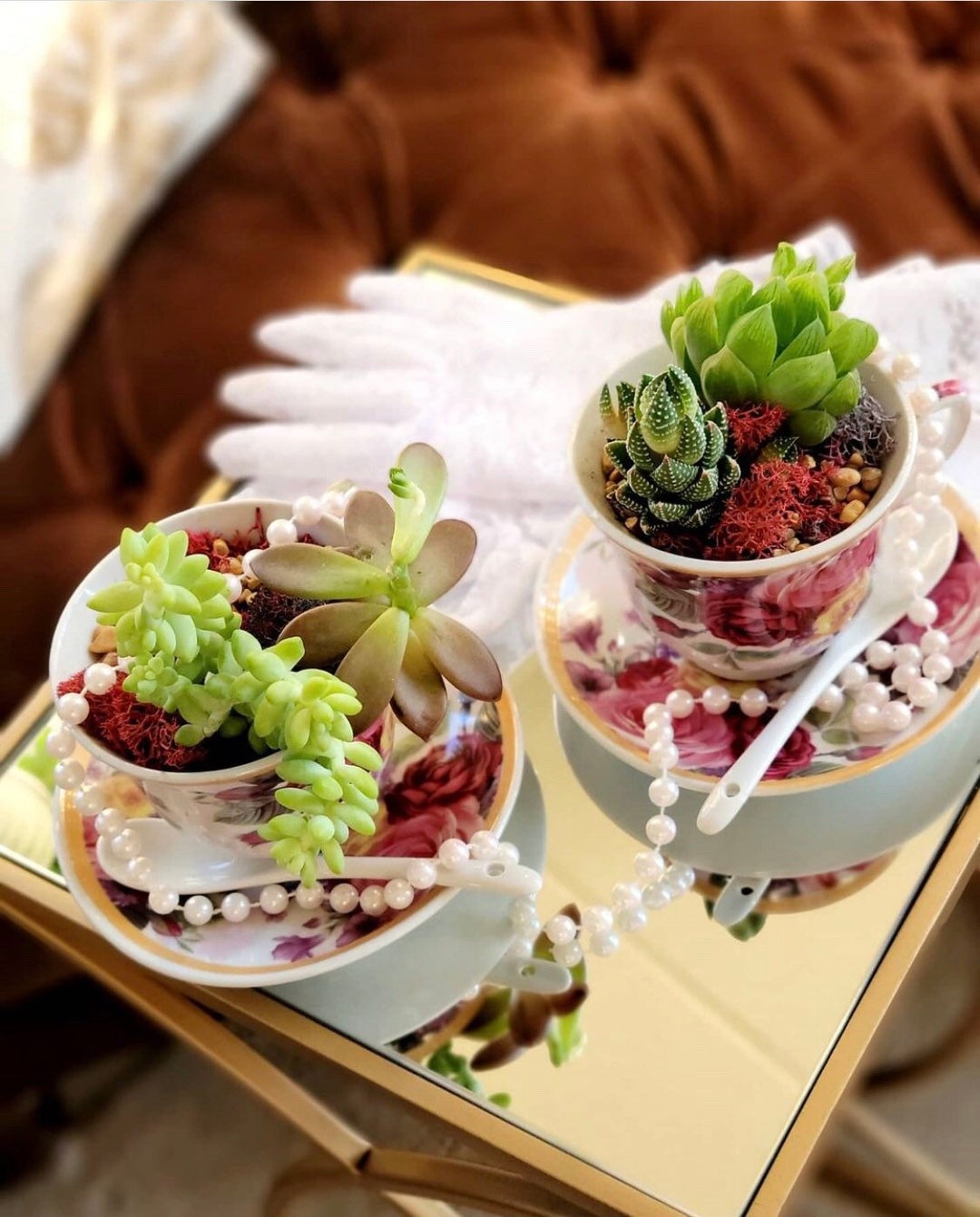 DIY Teacup Terrarium Planter Kit Set, DIY Terrarium, Succulent Garden, Plant Gift, Custom