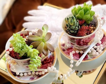 DIY Teacup Terrarium Kit: Succulent Planter Gift Set, diy craft, team building, birthday gift, gift for her, teacup, Back to School