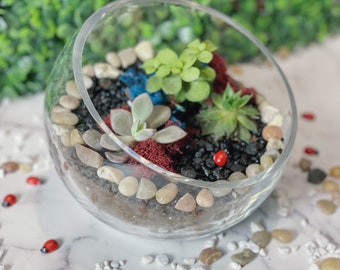 DIY Beautiful Slope Bowl Planter Kit, DIY Terrarium Kit, DIY adult craft kit, Diy Succulent,  Glass Terrarium Kit,birthday gift,Mother’s Day