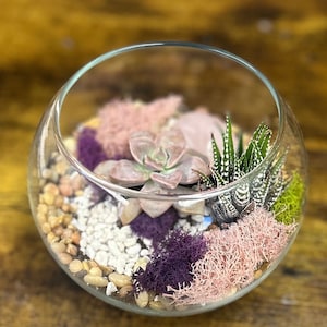 DIY Olivia Rose quartz Crystal Planter Kit,Terrarium Kit,DIY Succulent Garden, crystal terrarium, Mother’s Day , birthday gift, rose quartz