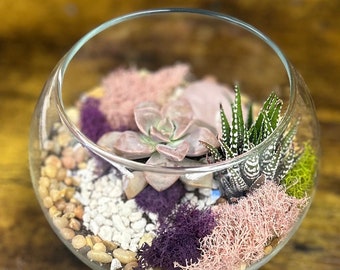 DIY Olivia Rose quartz Crystal Planter Kit,Terrarium Kit,DIY Succulent Garden, crystal terrarium, Mother’s Day , birthday gift, rose quartz