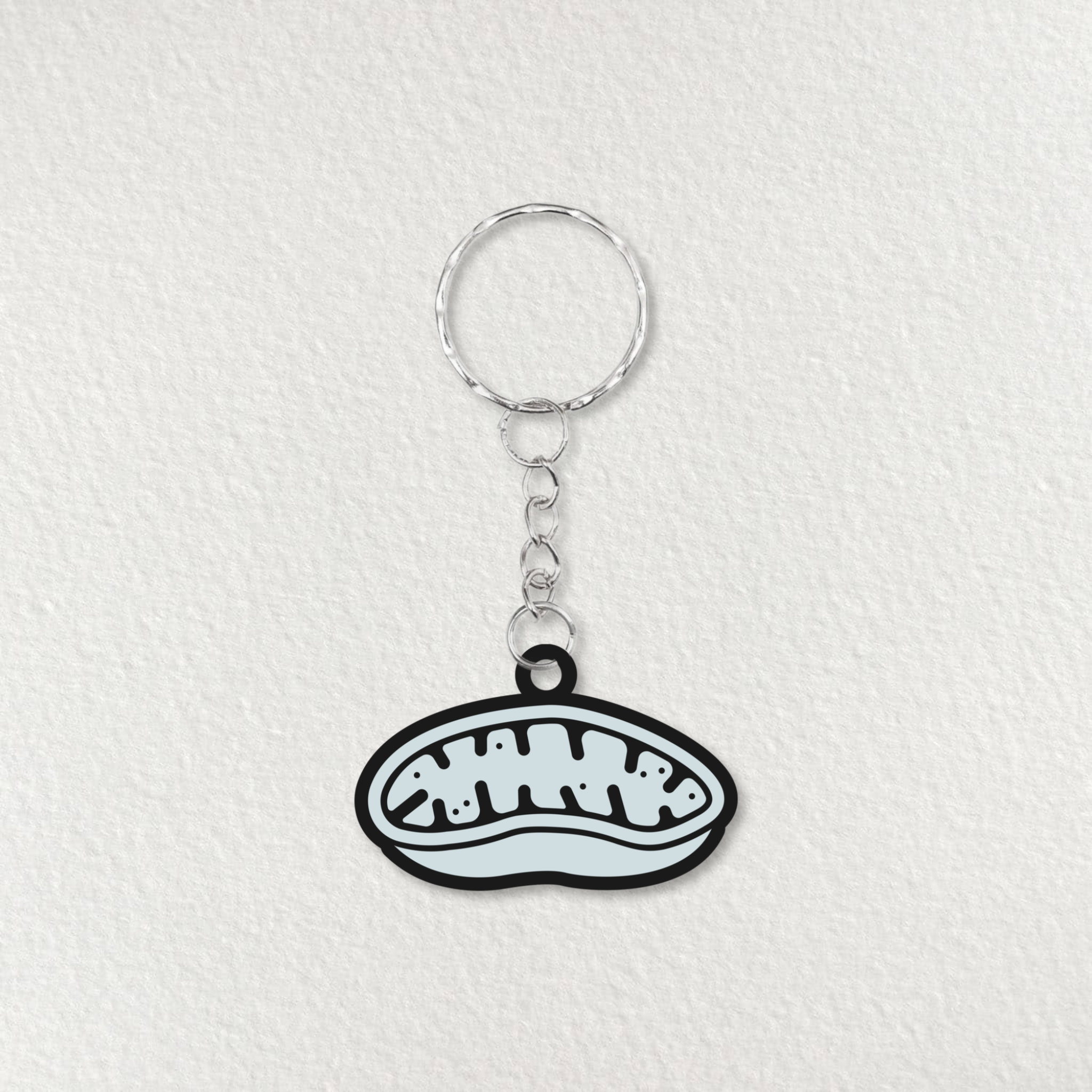 Cell, Organelle and Ion Channel Keyrings/ Biology Keyrings/ Science ...