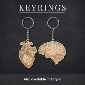 Puede incluir: Dos llaveros con cadenas y anillas de metal plateado. Uno presenta un colgante de madera clara con forma de corazón anatómico y el otro un colgante con forma de cerebro. El texto KEYRINGS y Also available in Acrylic aparece en la imagen.