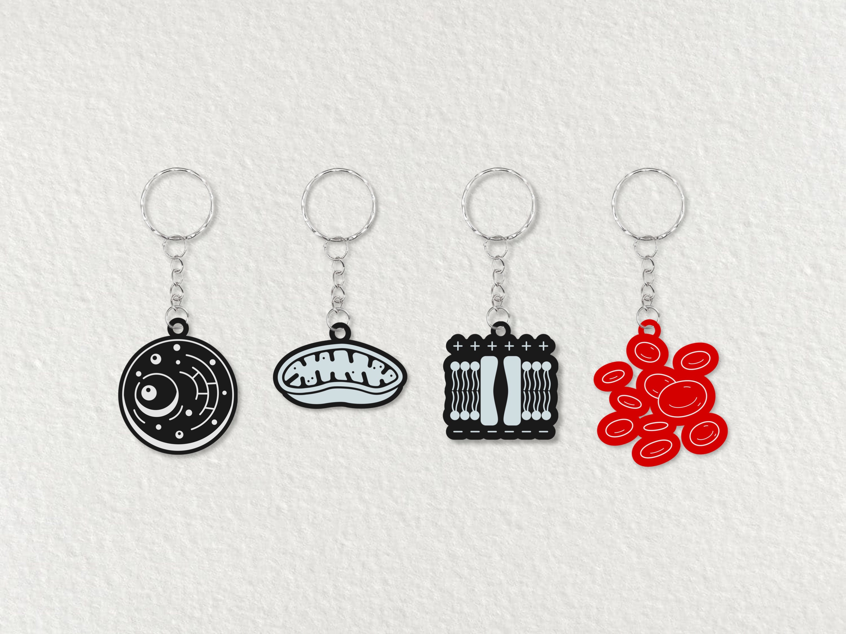 Key Rings Ergenomic Cell, Organelle and Ion Channel Keyrings/ Biology Keyrings/ Science ...