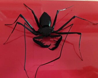 Tailless Whip Scorpion DIY Papercraft Puzzle Cardstock Kit