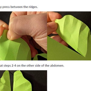 Pu&ograve; includere: Primo piano di una mano che preme verso il basso su una foglia di carta verde, creando delle creste. Il testo "Premere saldamente tra le creste." &egrave; visibile sopra l'immagine. La seconda immagine mostra la foglia dopo che le creste sono state premute. Il testo "Ripetere i passaggi 2-4 sull'altro lato dell'addome." &egrave; visibile sopra l'immagine. La terza immagine mostra la foglia completata con le creste su entrambi i lati.