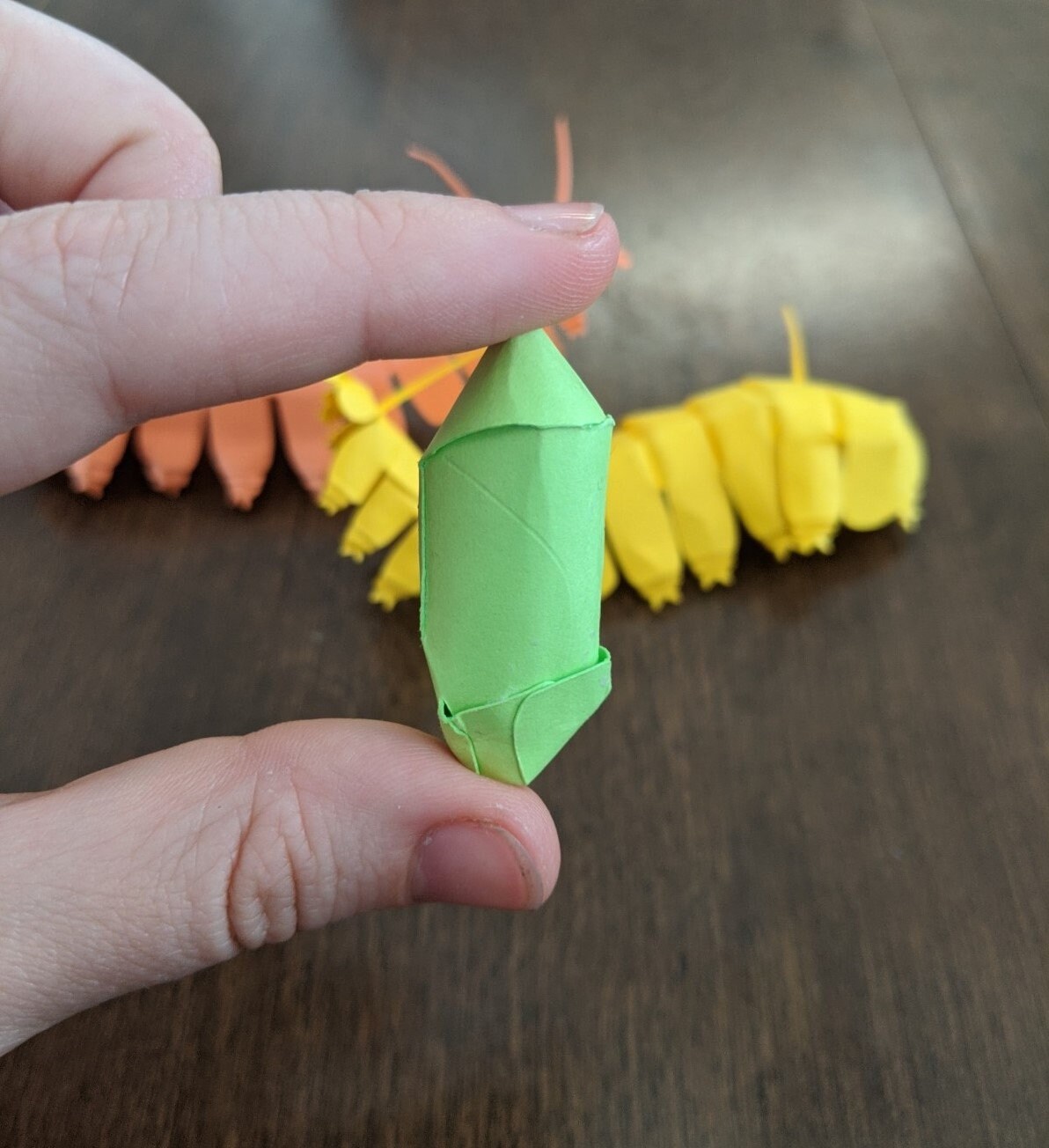 Monarch Chrysalis DIY Kit 4x Etsy