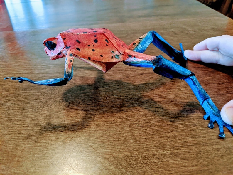 Poison Dart Frog DIY Kit Etsy