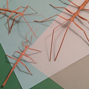 Stickbug DIY Digital, Papercraft, Cricut Cutting Machine Pattern