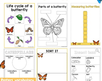 All about butterflies - Investigation science center for Preschool