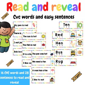 Read and reveal - CVC words and sentences