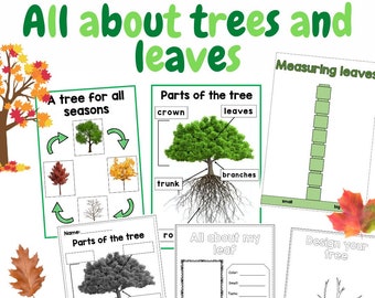 Todo sobre los árboles y las hojas - Centro de investigación científica para preescolar
