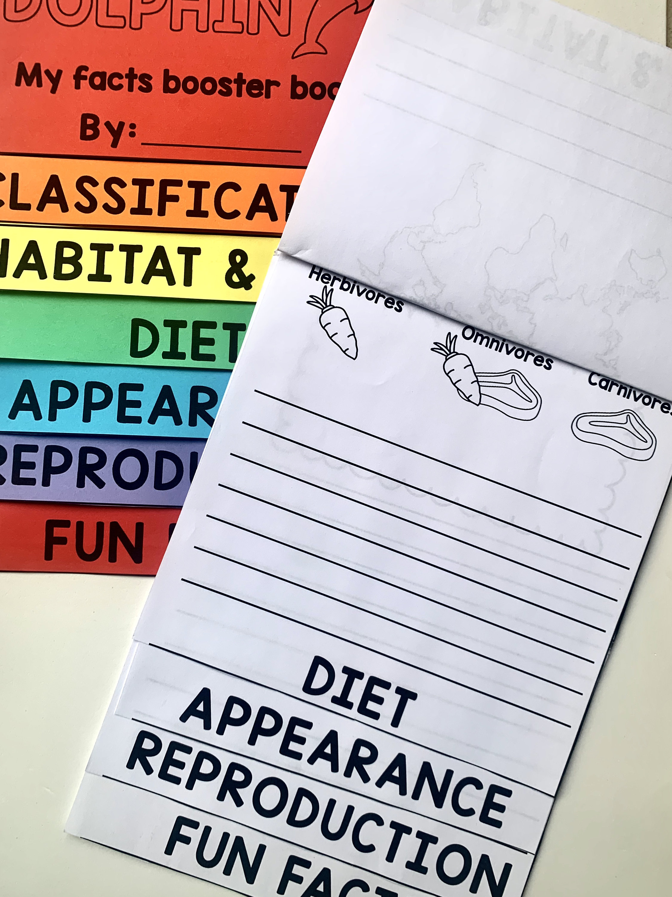 Animals Flipbook Activity - Worksheet - Lapbook - Etsy
