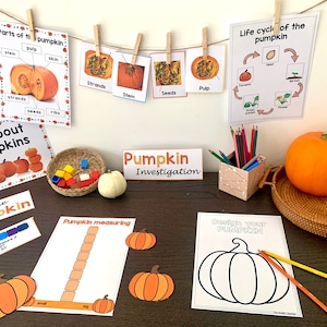 Puede incluir: Conjunto de actividades educativas sobre calabazas que incluye carteles titulados Parts of the pumpkin, Life cycle of the pumpkin y All about pumpkins, un letrero de Pumpkin Investigation, hojas de trabajo de medición, una página para colorear y calabazas.