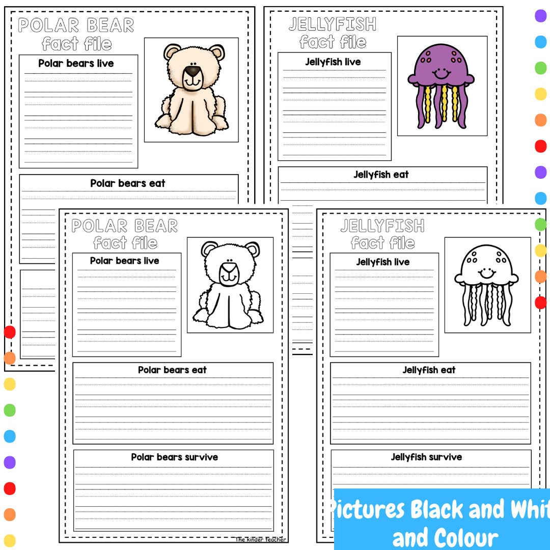 Animals Fact Files - Early Writing - Reception and Nursery - Etsy