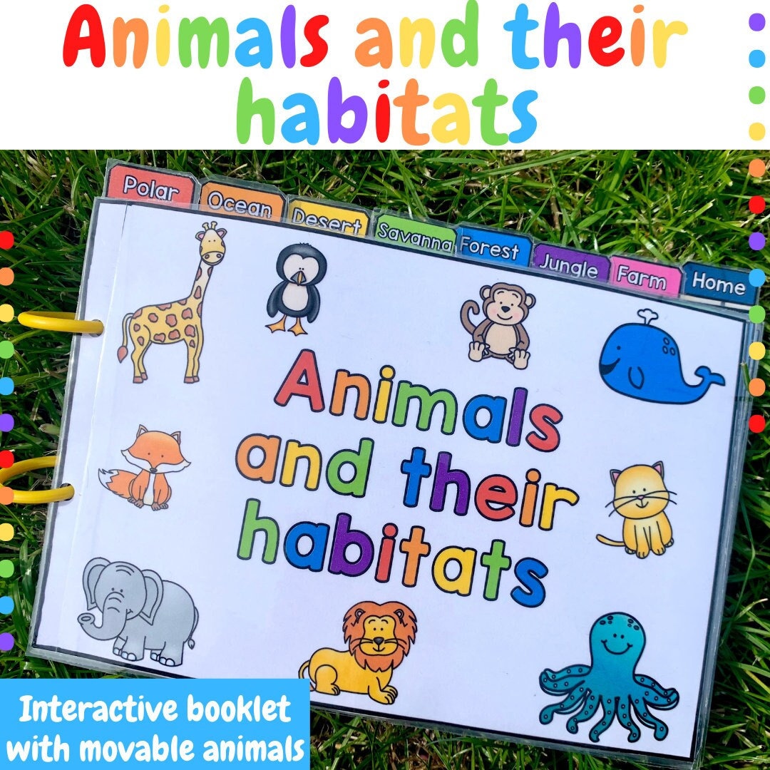 Animals and Their Habitats Interactive Booklet Etsy