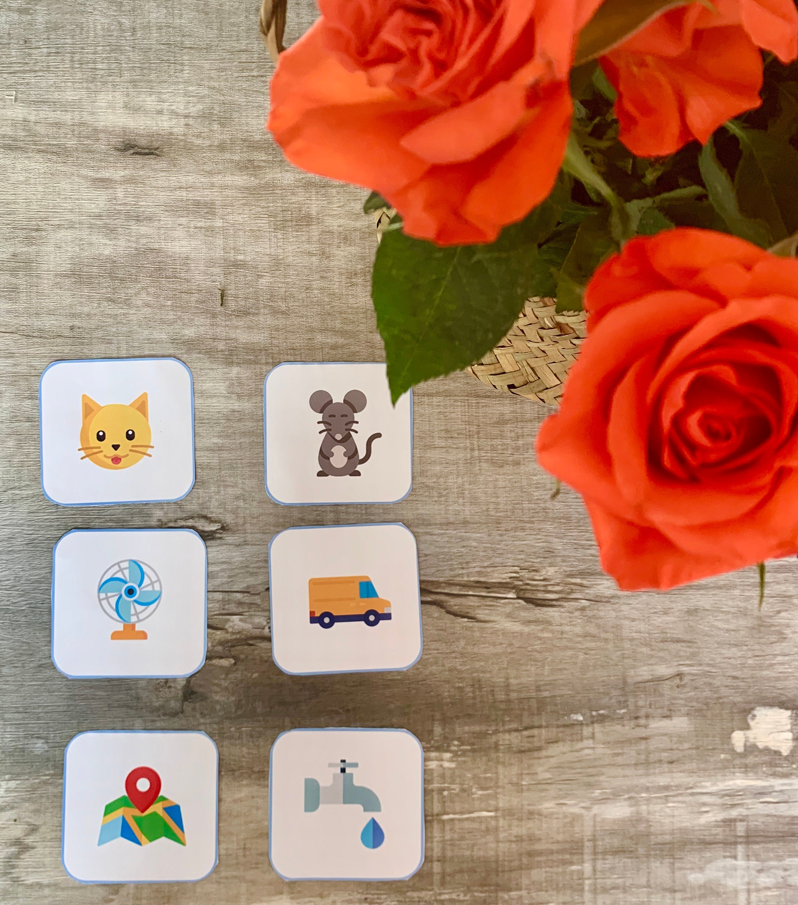 Rhyming Words Matching Cards - Etsy