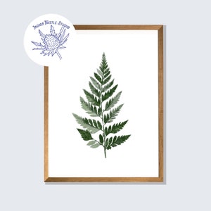Fern Print - Leatherleaf Print - Fern Art - Botanical Print, Watercolor Fern, Fern Painting, Green, Woodland Prints, Minimalist Fern