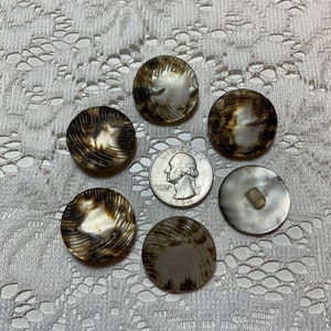 May include: A collection of six round buttons with a swirling, shell-like pattern in shades of brown and cream. One button has a shank on the back. A US quarter is included for size reference. The buttons are arranged on a white lace surface.