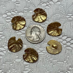 Può includere: Sei bottoni dorati a forma di foglia con un designo in rilievo. I bottoni sono disposti a semicerchio attorno a una moneta da un quarto di dollaro americano.