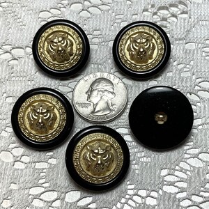 ヴィンテージプラスチックライオンヘッドボタン12個、40ライン、25mm