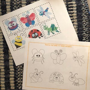 May include: A printable worksheet with colorful bug illustrations and outlines. The worksheet instructs the user to match the bugs to their outlines. The bugs include a bee, a ladybug, a butterfly, a dragonfly, and a grasshopper.