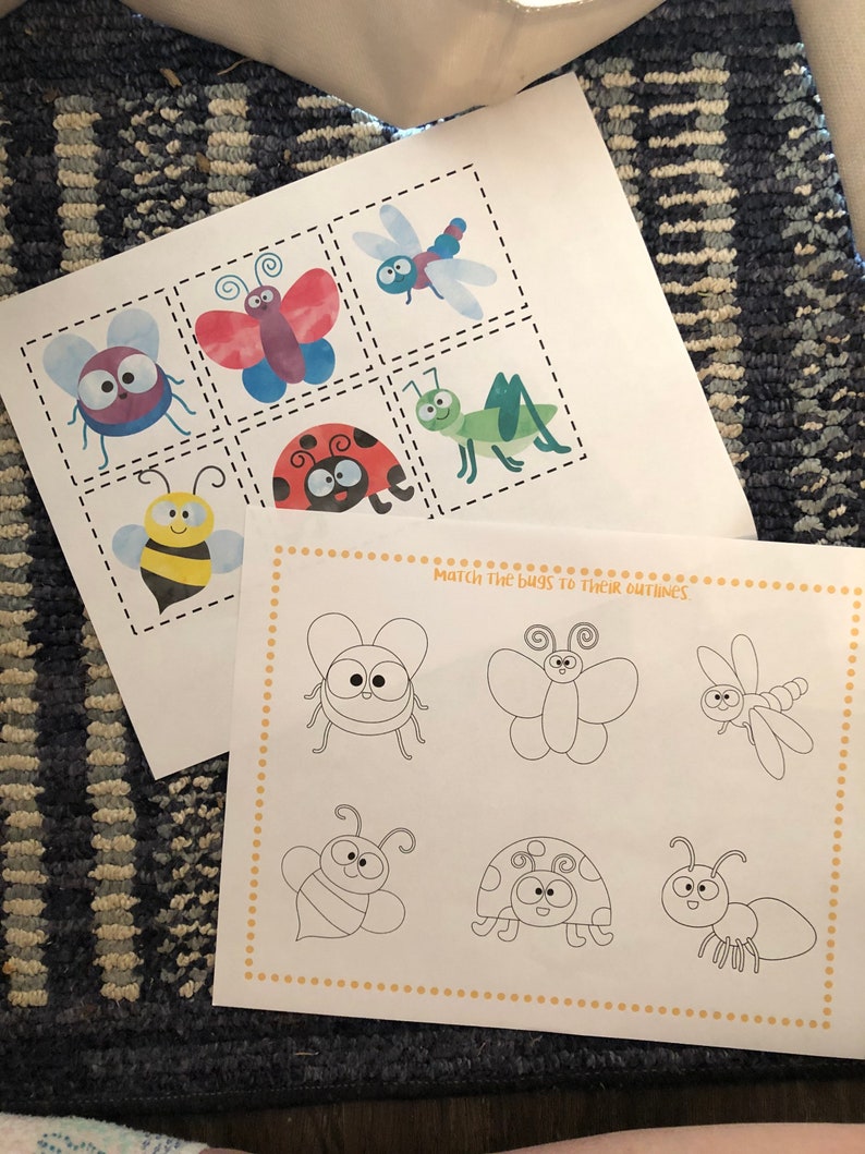 May include: A printable worksheet with colorful bug illustrations and outlines. The worksheet instructs the user to match the bugs to their outlines. The bugs include a bee, a ladybug, a butterfly, a dragonfly, and a grasshopper.