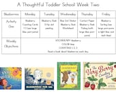 Toddler Curriculum, Ages 1-3, 26 Week Program